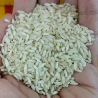 برنج عنبر بو عطیه|خوردنی و آشامیدنی|قم, پردیسان|دیوار