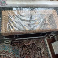 میز تی وی
