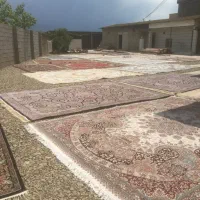قالیشویی ایران
