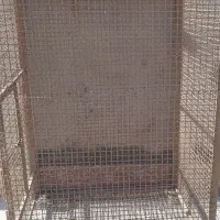 قفس|لوازم جانبی حیوانات|زرند, |دیوار