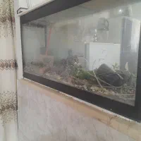 آکواریوم بزرگ