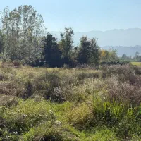 3هزار متری بهترین زمین برای باغ ویلا|فروش زمین و ملک کلنگی|لاهیجان, آهندان|دیوار