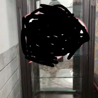 خانه و آشپزخانه