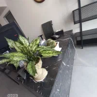 اخذ جواز و کارت بازرگانی