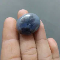 سنگانگوشترشجرزنده