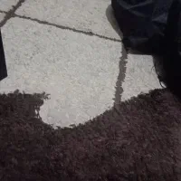 فروش فوری فرش ۹ و ۶ متری