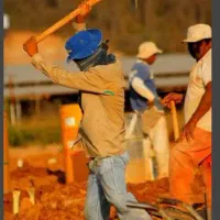 دنبال کارگر مغنی چا