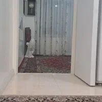 منزل ویلایی دوطبقه دربست 125متری بازسازی شده|فروش خانه و ویلا|مشهد, کارگران|دیوار