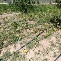 استخدام نیرو.کارگر ساده.نگهبان