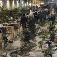 استخدام میزبان وسالندار خانم
