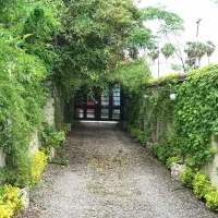 اجاره سالیانه ویلا متل قو|اجارهٔ خانه و ویلا|سلمان‌شهر, |دیوار