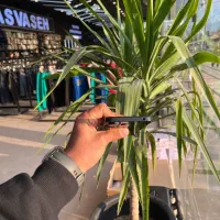 گوشی ردمی 13|موبایل|مشهد, شهید بصیر|دیوار