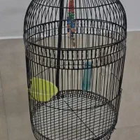 قفس پرنده