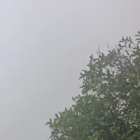 باغ نیمه ایثارگران