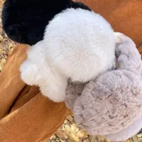 گوشگیر تاشو  تدی