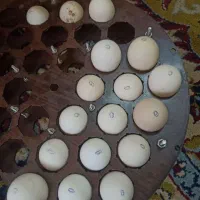 دستگاه جوجه کشی|لوازم جانبی حیوانات|اصفهان, دهنو|دیوار