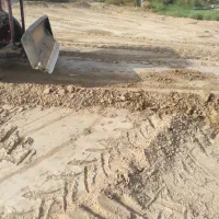 نیازمند همکار