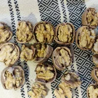 گردو کاغذی وتازه شماره تماس