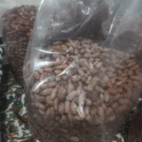 بادام زمینی گلی برشته شده درجه 1|خوردنی و آشامیدنی|پارسآباد, |دیوار