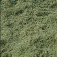 یونجه