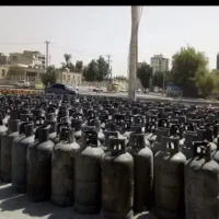 یک عدد کپسول