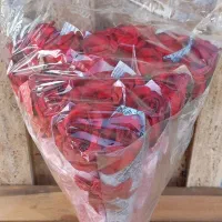 * تک شاخه کاغذی ۳۰سانتی ارسال به سراسر ایران *|گل مصنوعی|تهران, ترمینال غرب|دیوار