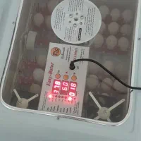 دستگاه جوجه کشی
