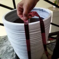 گل و گلدان سفالی|گل و گیاه طبیعی|مشهد, مشکینی (شهرک غرب)|دیوار