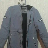 پالتو نو لارج