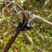 قیچی طنابی شاخه زن فیسکارس