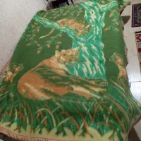 ۲ عدد پتو قدیمی دورو ،سالم و تمیز،دونه ای۴۵۰ تومان