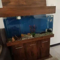 اکواریوم چوبی وپایه فلزی|لوازم جانبی حیوانات|محمدشهر, ولدآباد|دیوار