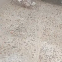 کبوتر بازی دار