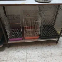 قفس پرنده|لوازم جانبی حیوانات|اسلام‌شهر, زرافشان|دیوار