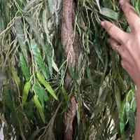 درخت بید مجنون مصنوعی|گل مصنوعی|قم, حنیف نژاد|دیوار