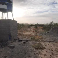 زمین و باغچه