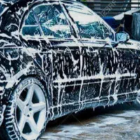کار در کارواش آقا و خانم