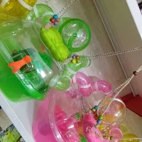 قفس جزیره همستر