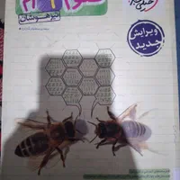 کتابهای تیزهوشان پایه نهم ۱۴۰۴|کتاب و مجله آموزشی|اهواز, زیتون کارمندی|دیوار