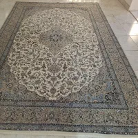 فرش ۶ متری|فرش|رشت, دیانتی|دیوار