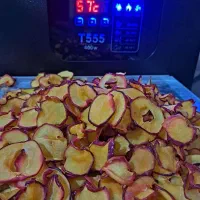 دستگاه میوه خشک‌کن +آموزش + پشتیبانی + فروش