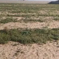 قطعه-زمین1000متری-روستای-هلالی