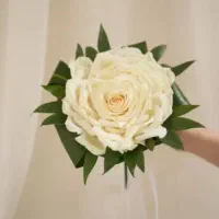 کرایه لباس نامزدی