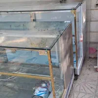 ویترین خشک و دخل|فروشگاه و مغازه|ری, هاشمآباد|دیوار