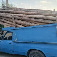 خرید انواع چوب