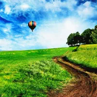 استخدام حسابدار