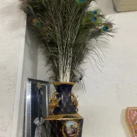 فروش طاووس هندی ۲ساله .پر طاووس|پرنده|یزد, |دیوار