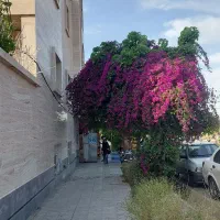 فروش سه طبقه مسکونی و یک باب معازه شهرک دارایی|فروش خانه و ویلا|شیراز, شهرک دارایی|دیوار