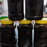 ترشی سیر 7ساله کیلویی300هزارتومن