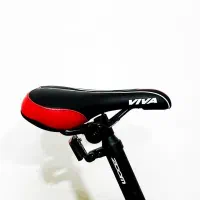 دوچرخه VIVA با تجهیزات شیمانو / آکبند|دوچرخه، اسکیت، اسکوتر|گنبد کاووس, |دیوار